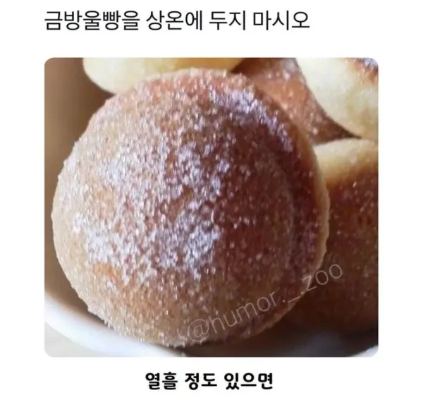 음식을 상온에 방치하면 안되는이유